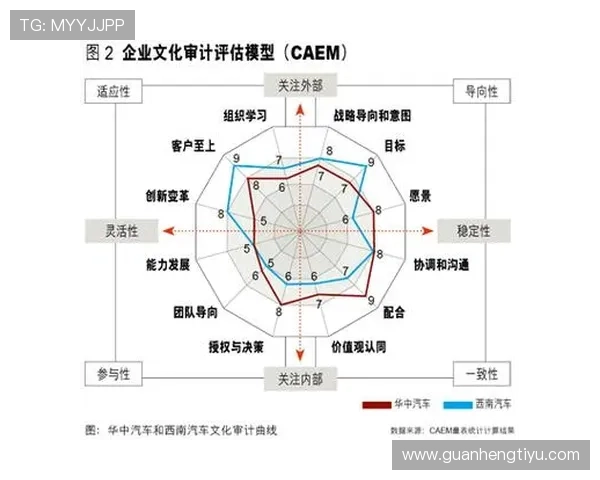 全面解析开云体育集团的企业文化与管理优势，助力体育产业持续健康发展的成功经验